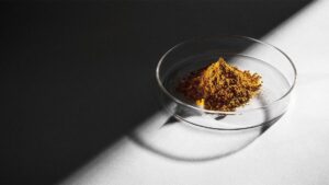 Thực phẩm cho phi hành gia lên sao Hỏa: Protein từ không khí?