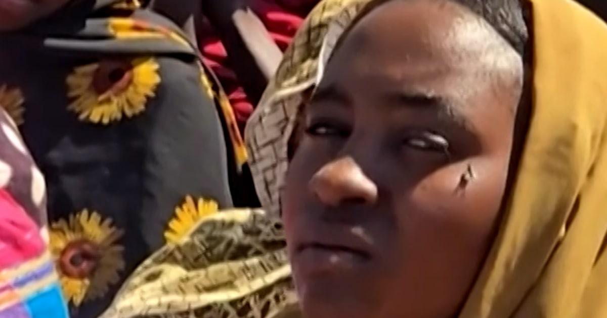 Người tị nạn Sudan đến trại tị nạn UNHCR sau khi chạy trốn khỏi Al-Fashir 1 sudanthumb meno5b