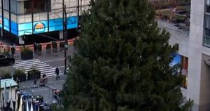 Giàn giáo được tháo xuống khỏi cây thông Noel Rockefeller 15 Giàn giáo được tháo xuống khỏi cây thông Noel Rockefeller