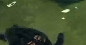 Rùa biển được chăm sóc sức khỏe tại Massachusetts