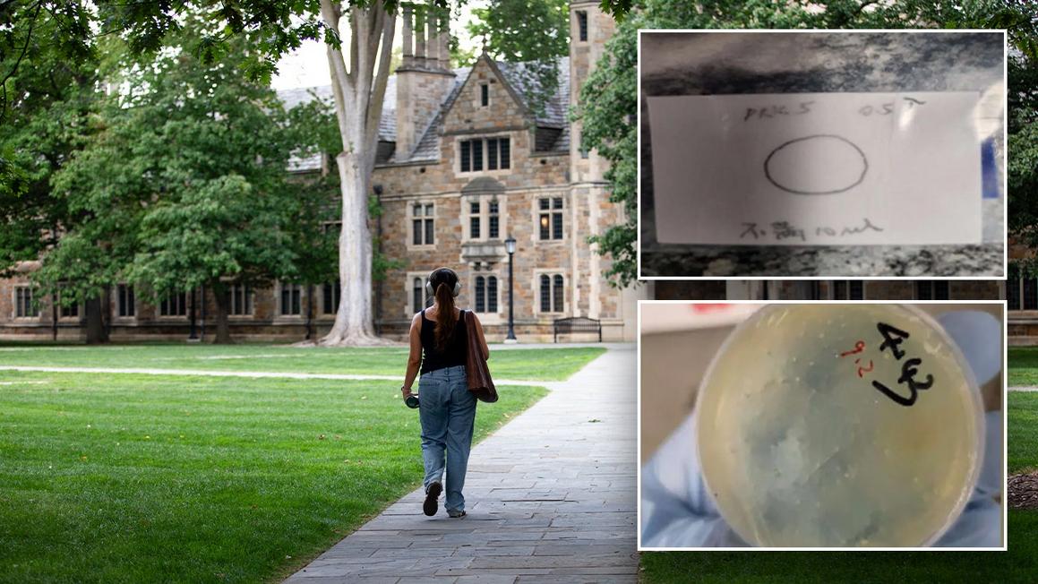 Ba Nghi phạm TQ bị cáo buộc buôn lậu vật liệu sinh học 1 umich smuggling