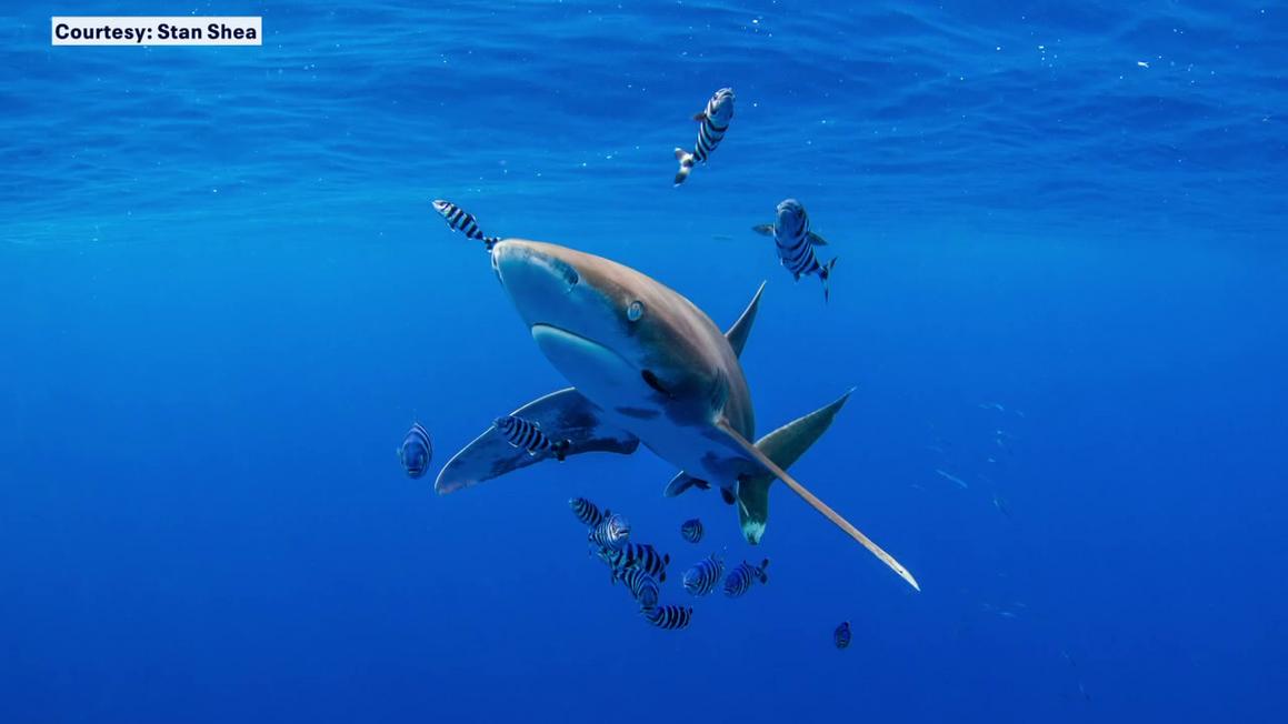 vlcsnap 2025 11 13 16h38m21s428