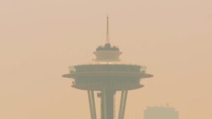 Bác Sĩ Cảnh Báo Khói Rừng Có Thể Làm Tăng Nguy Cơ Sinh Non