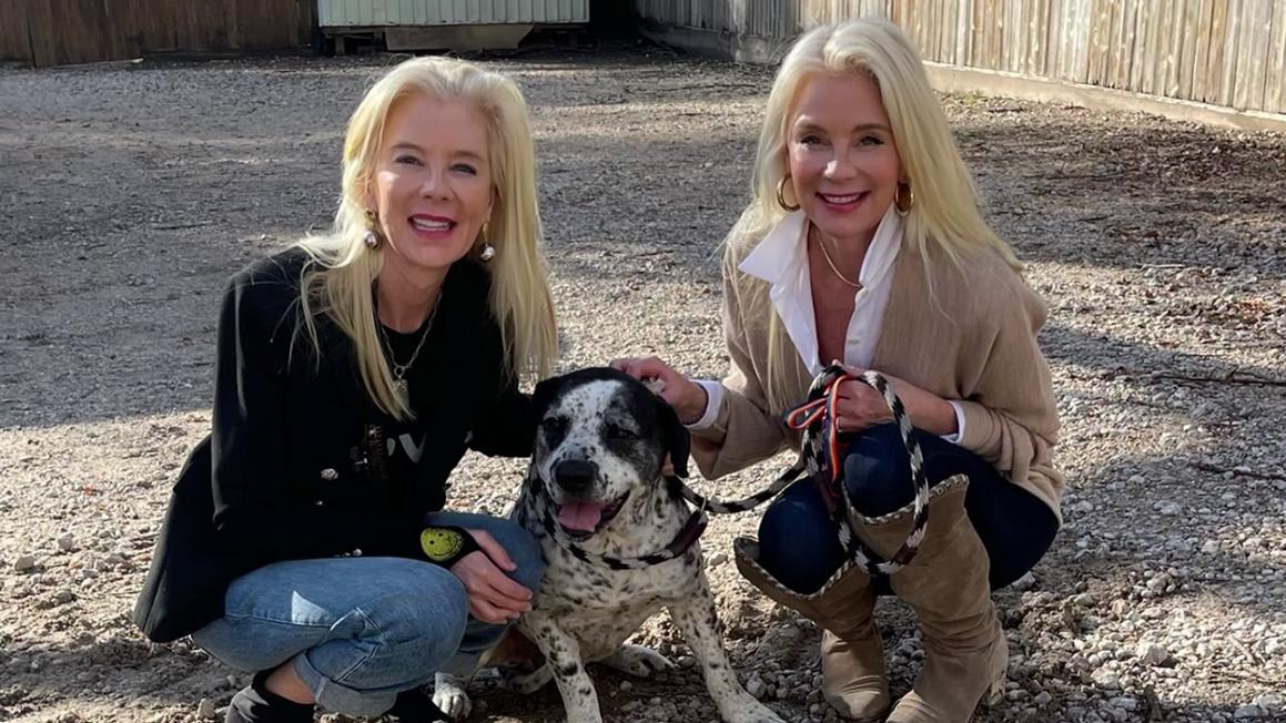 Những người sáng lập PetSet cứu hàng trăm ngàn thú cưng vô gia cư 1 vlcsnap 2025 11 27 20h34m53s248