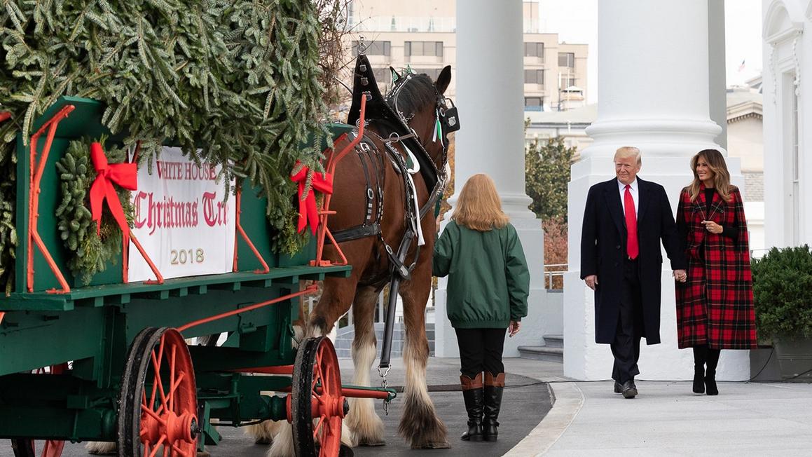 whitehousechristmastree2018