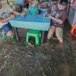 Nhà Hàng Ở Thái Lan Bị Lũ Lụt Biến Thành Điểm Hút Khách Với Cá Bơi Tung Tăng