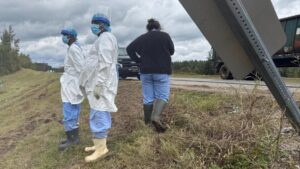 Con khỉ cuối cùng trốn sau tai nạn xa lộ Mississippi đã bị bắt 25 Con khỉ cuối cùng trốn sau tai nạn xa lộ Mississippi đã bị bắt