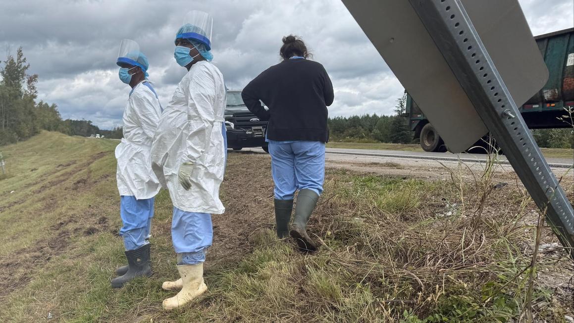 Con khỉ cuối cùng trốn sau tai nạn xa lộ Mississippi đã bị bắt 1