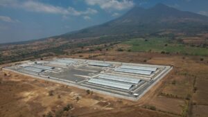 Ủy Ban Nhân Quyền Liên Mỹ Yêu Cầu El Salvador Bảo Vệ 3 Người Đàn Ông Bị Trục Xuất