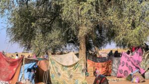 Các chiến dịch cứu trợ tại Sudan ‘sắp sụp đổ,’ cơ quan di trú LHQ cảnh báo