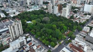 Băng đảng tội phạm Brazil mở rộng địa bàn, đe dọa rừng Amazon 8 Băng đảng tội phạm Brazil mở rộng địa bàn, đe dọa rừng Amazon