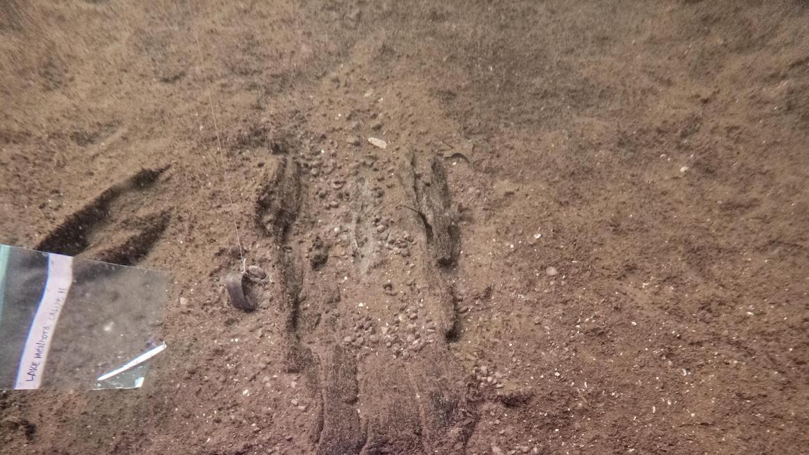 Các nhà khảo cổ Wisconsin tìm thấy 16 chiếc thuyền độc mộc cổ đại tại 'bãi đậu thuyền' tiền sử dưới đáy hồ 1