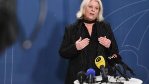 Chính phủ Thụy Điển cam kết ngăn chặn buôn bán búp bê tình dục hình trẻ em 5 Chính phủ Thụy Điển cam kết ngăn chặn buôn bán búp bê tình dục hình trẻ em