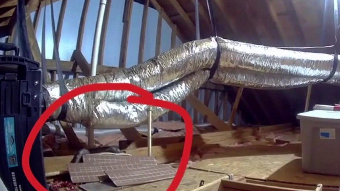 Người phụ nữ ở Texas tìm nơi ở mới vì nhà thuê có chuột và rắn 1 170fydrythurcd6i