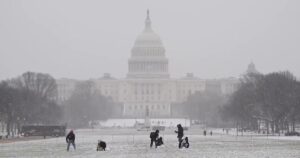 Hộp Quà Lễ Giới Hạn: Ưu Đãi Lên Tới 71%