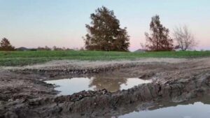 Người dân Fort Bend County kêu cứu vì con đường vào nghĩa trang xuống cấp 32 Người dân Fort Bend County kêu cứu vì con đường vào nghĩa trang xuống cấp