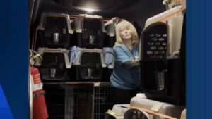 Thay đổi của Petfinder gây lo ngại cho các trung tâm cứu hộ động vật tại Houston