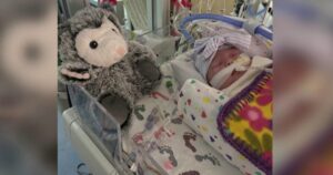 Gia tăng các ca bệnh ho gà trên toàn nước Mỹ do tiêm chủng giảm 9 Gia tăng các ca bệnh ho gà trên toàn nước Mỹ do tiêm chủng giảm