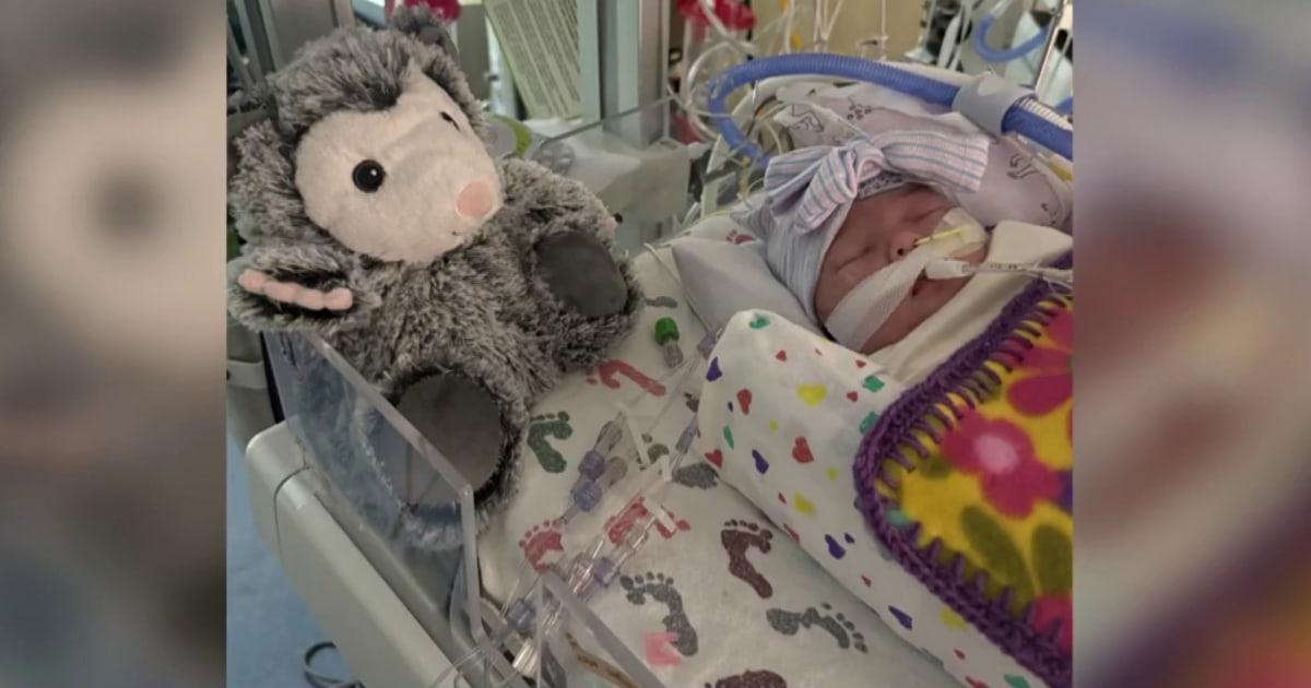 Gia tăng các ca bệnh ho gà trên toàn nước Mỹ do tiêm chủng giảm 1 1766015232167 nn ath whoopingcough casessurge 251217 1920x1080 or6196