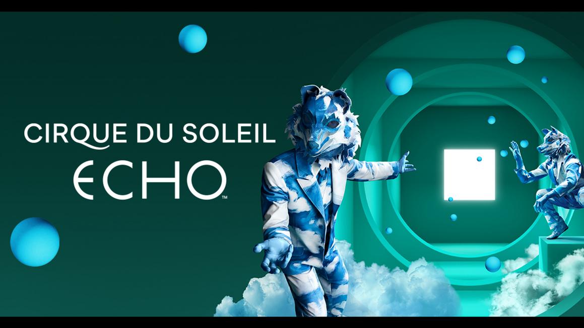 18063238 102325 kgo cirque echo dog sweeps img