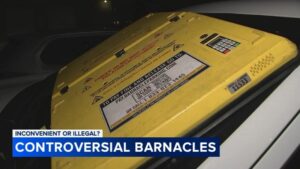 Chủ Doanh Nghiệp và Quan Chức Tranh Luận Tính Hợp Pháp của Thiết Bị Barnacle Bãi Đậu Xe Khi Khiếu Nại Tăng Cao