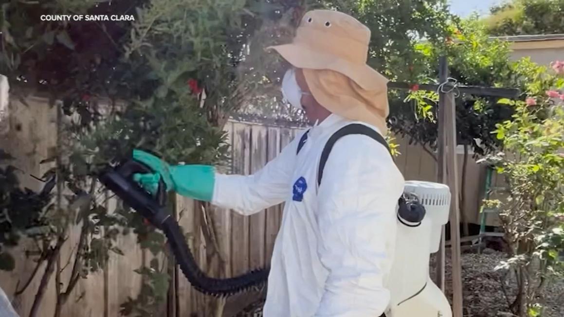 Santa Clara lo ngại cắt giảm ngân sách kiểm soát muỗi 1 18250268 120425 kgo santa clara vector control img