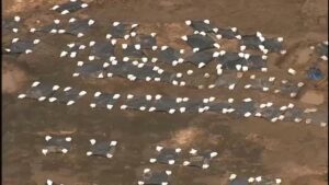 Hạt Fort Bend duyệt chi 1.5 triệu đô để tưởng niệm 95 nạn nhân trong các mộ tập thể 33 Hạt Fort Bend duyệt chi 1.5 triệu đô để tưởng niệm 95 nạn nhân trong các mộ tập thể