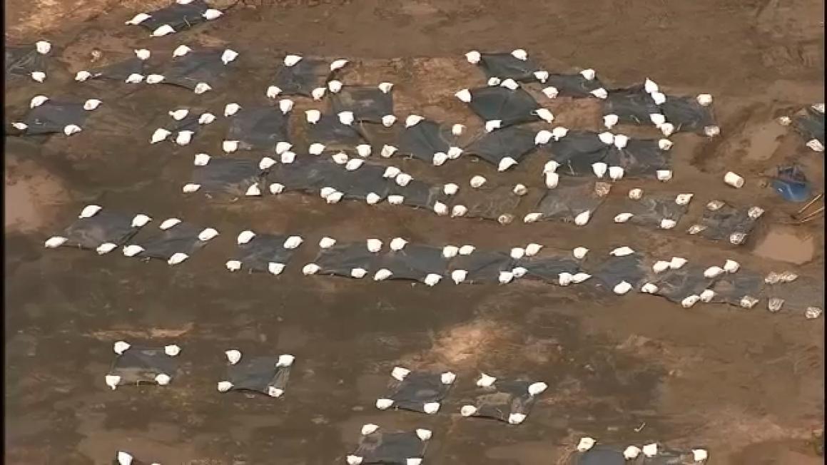 18251534 120425 ktrk TN sugar land95 img