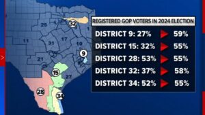 Chuyên gia pháp lý: Phán quyết tái phân chia khu vực bầu cử của Tối Cao Pháp Viện sẽ ảnh hưởng bầu cử trong nhiều năm
