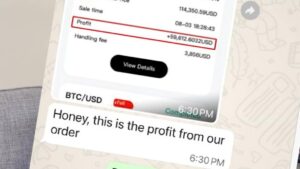 Lừa Đảo ‘Mổ Heo’: Góa Phụ Vùng Vịnh Mất Gần 1 Triệu Đô La Tiền Điện Tử, ChatGPT Cảnh Báo Vụ Lừa