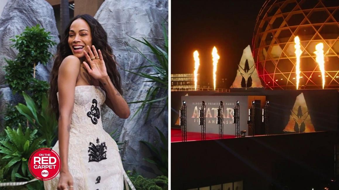 Cơn sốt toàn cầu khi dàn diễn viên 'Avatar: Fire and Ash' đến với người hâm mộ 1 18268639 2