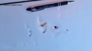 Người lướt ván bị cá mập tấn công tại bãi biển Sonoma County 34 Người lướt ván bị cá mập tấn công tại bãi biển Sonoma County