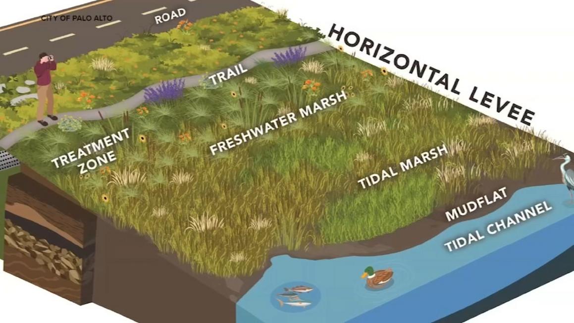 Dự án đê chắn sóng sáng tạo ở Palo Alto, California 1 18295846 121725 kgo horizontal levee img