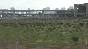 West Oakland gần hơn với Costco, dự kiến thu hàng triệu đô la tiền thuế