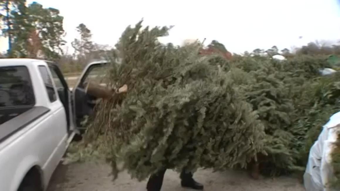 18321394 122625 ktrk christmas tree recycling img