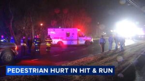 Người đi bộ bị xe đụng ở Delaware 33 Người đi bộ bị xe đụng ở Delaware