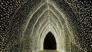 Hàng triệu ánh sáng mê hoặc du khách tại Vườn Bách Thảo San Francisco