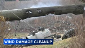 Mưa giông lớn quật ngã cây cối, hàng ngàn hộ dân mất điện