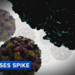 Gia tăng các ca cúm, COVID và Norovirus khi kỳ nghỉ lễ kết thúc