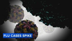 Gia tăng các ca cúm, COVID và Norovirus khi kỳ nghỉ lễ kết thúc