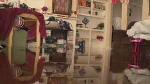 Houston: Lụt nhà ngày Giáng Sinh, người phụ nữ cứu tro cốt mẹ