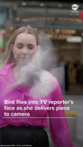 Hàng triệu người Mỹ hứng chịu thời tiết lạnh giá kỷ lục