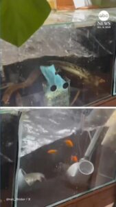 Động đất mạnh ở Nhật Bản, cảnh báo sóng thần