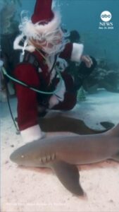 Ông già Noel lặn biển đón Giáng Sinh ở Florida Keys