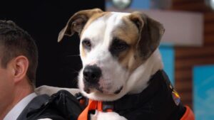 Nổ Lớn tại Viện Dưỡng Lão ở Pennsylvania: Hai Người Thiệt Mạng, Hơn 20 Người Nhập Viện 5 Nổ Lớn tại Viện Dưỡng Lão ở Pennsylvania: Hai Người Thiệt Mạng, Hơn 20 Người Nhập Viện