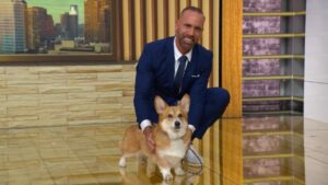 Nga tấn công Kyiv trước cuộc gặp Trump-Zelenskyy