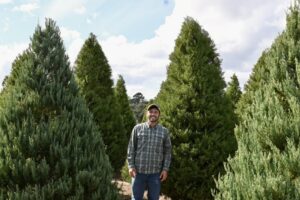 Froberg Farm: Di Sản Tiếp Nối Từ Dâu Tây Đến Cây Thông Noel