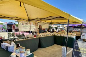 Sự kiện ‘Chicago’ và các buổi Bingo ở New Caney và Porter tháng Giêng