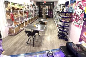 Cửa hàng Treasure Trove Hobby khai trương tại Hutto 17 Cửa hàng Treasure Trove Hobby khai trương tại Hutto