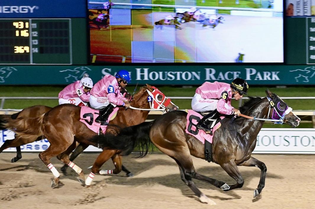 10 sự kiện ở Cy-Fair, Texas từ nay đến 15/2 1 399764